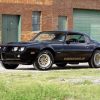 Pontiac (Понтиак)Firebird 2 поколение  [4-й рестайлинг] Formula купе 2-дв. 6.6 MT 1979–1981